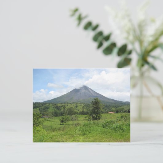 腎の ポストカード (スタンド正面)