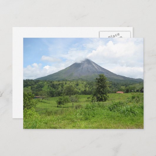 腎の ポストカード (正面/裏面)