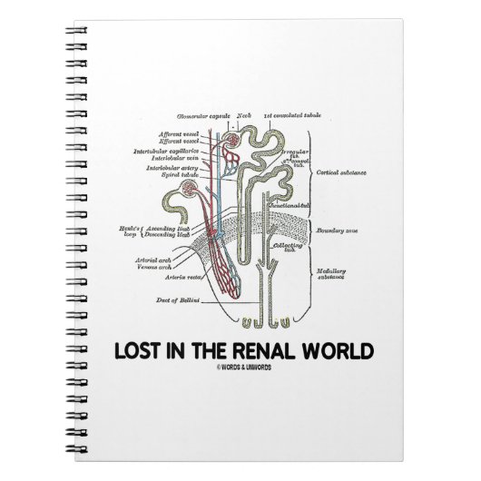 腎失ったnephronで ノートブック (正面)