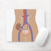 腎移植 マウスパッド (マウス)