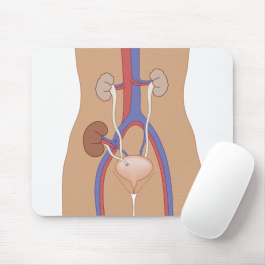 腎移植 マウスパッド (マウス)