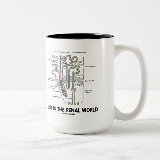 腎臓の世界(腎臓Nephron)で失った ツートーンマグカップ (右)