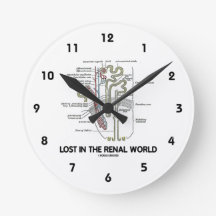 腎臓の世界(腎臓Nephron)で失った