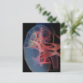 腎臓の内側のワイヤフレーム ポストカード (スタンド正面)