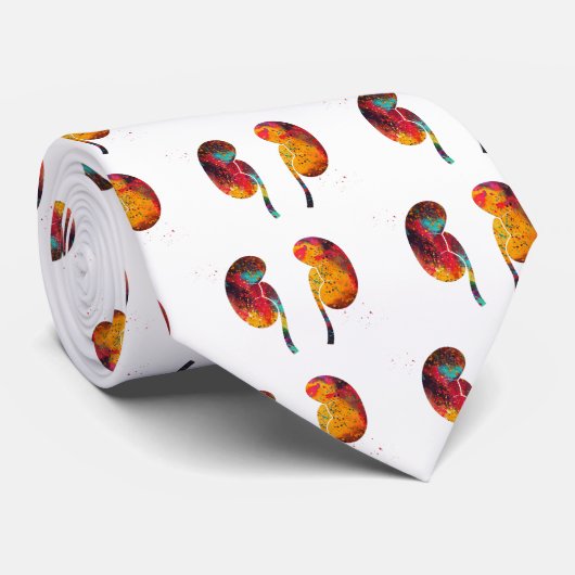 腎臓の解剖学 ネクタイ (ロール)