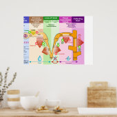 腎臓ネフロンのモル輸送図 ポスター (キッチン)