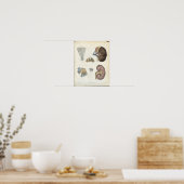 腎臓ヴィンテージ構造プリント ポスター (キッチン)