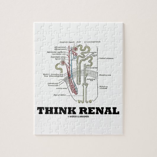 腎臓考えて下さい(Nephronの解剖学のイラストレーション) ジグソーパズル (縦)
