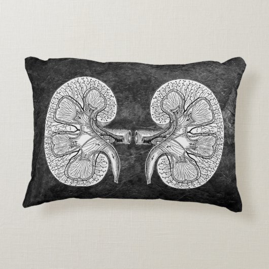 腎臓2スケッチ枕 アクセントクッション (裏面)