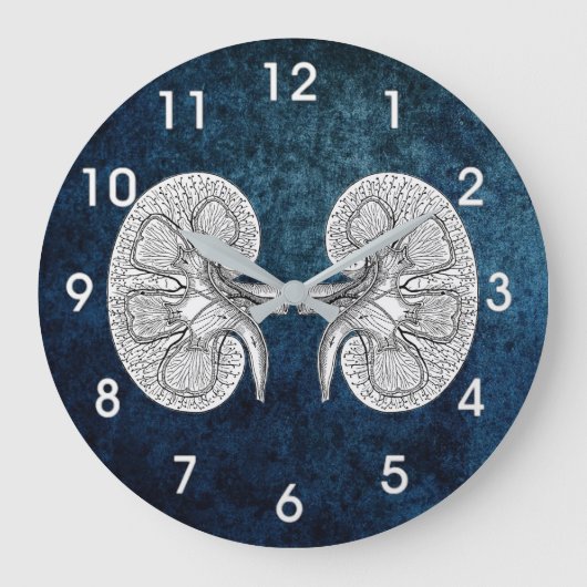 腎臓2スケッチ ラージ壁時計 (正面)