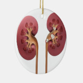腎臓 セラミックオーナメント (右)