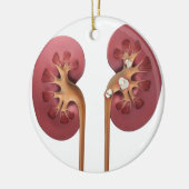 腎臓 セラミックオーナメント (左)