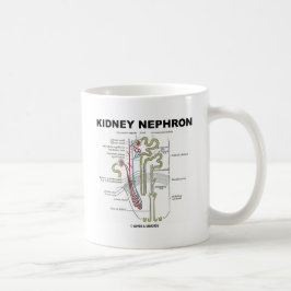 腎臓Nephron コーヒーマグカップ