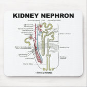 腎臓Nephron マウスパッド (正面)