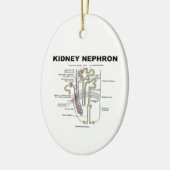 腎臓Nephron (灰色の解剖学の教科書) セラミックオーナメント (左)
