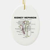 腎臓Nephron (灰色の解剖学の教科書) セラミックオーナメント (裏面)