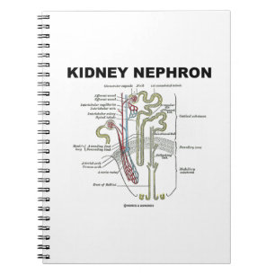 腎臓Nephron (灰色の解剖学の教科書) ノートブック