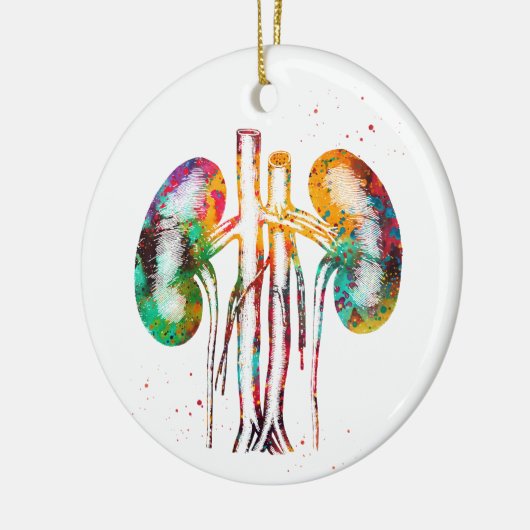腎解剖学 セラミックオーナメント (左)