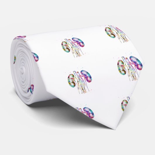 腎解剖学 ネクタイ (ロール)