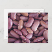 腎豆のクローズアップ ポストカード (正面/裏面)