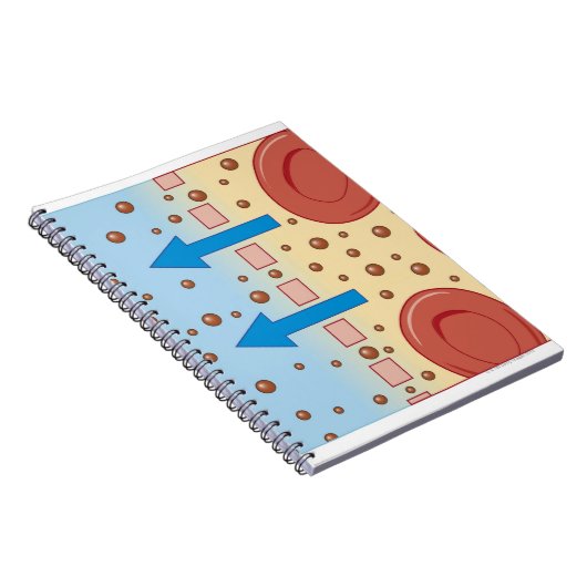 腎透析 ノートブック (右側)