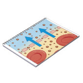 腎透析 ノートブック (左側)