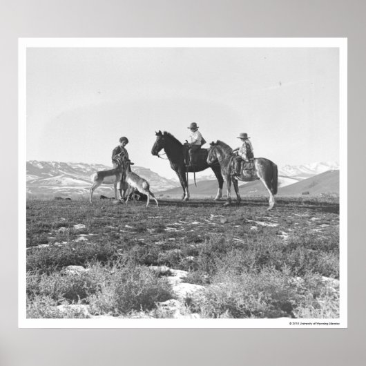 腐ったアンテロープ。 ポスター (正面)