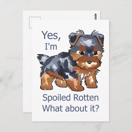 腐ったヨークシャーテリア ポストカード (正面/裏面)