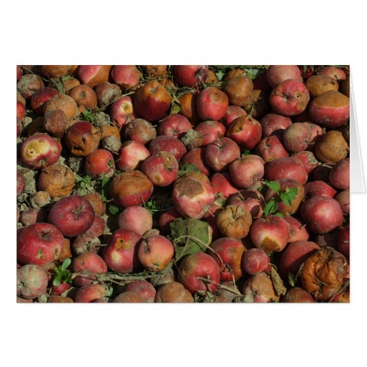 腐ったリンゴ (正面横)