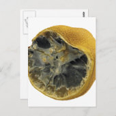 腐ったレモン ポストカード (正面/裏面)