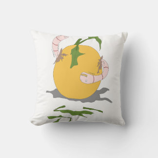 腐った果物に虫がつく クッション