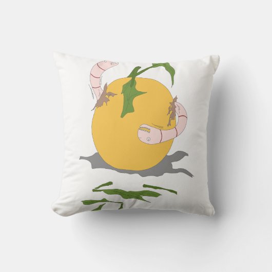 腐った果物に虫がつく クッション (正面)