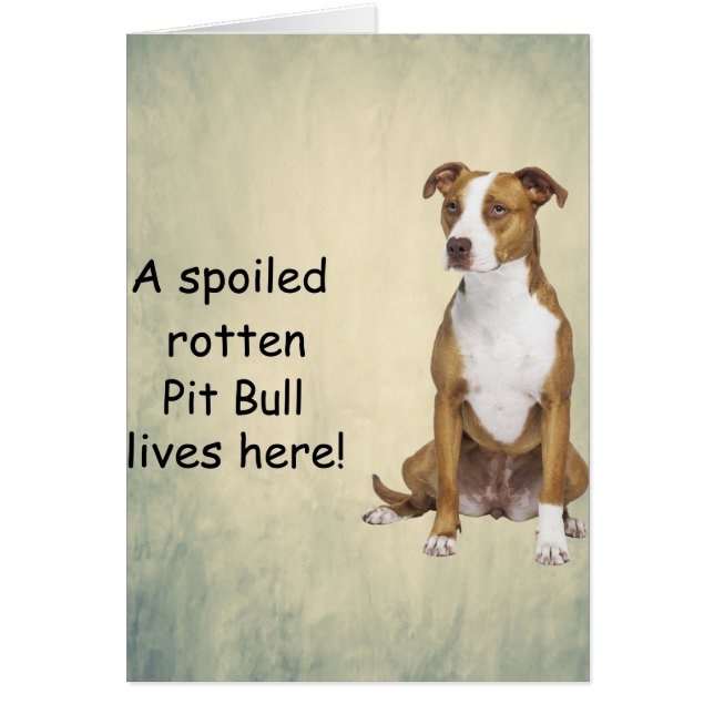 腐った腐った牡牛がここに住んでいる (正面)