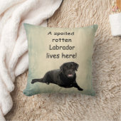 腐った腐った腐ったラブラドールがここに住んでいる クッション (ブランケット)