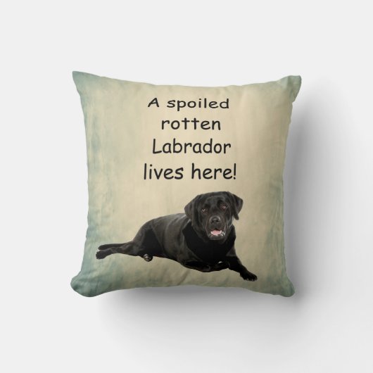 腐った腐った腐ったラブラドールがここに住んでいる クッション (正面)