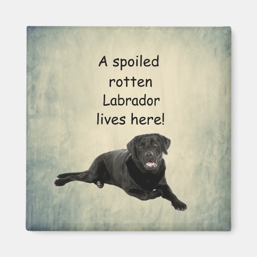腐った腐った腐ったラブラドールがここに住んでいる マグネット (正面)