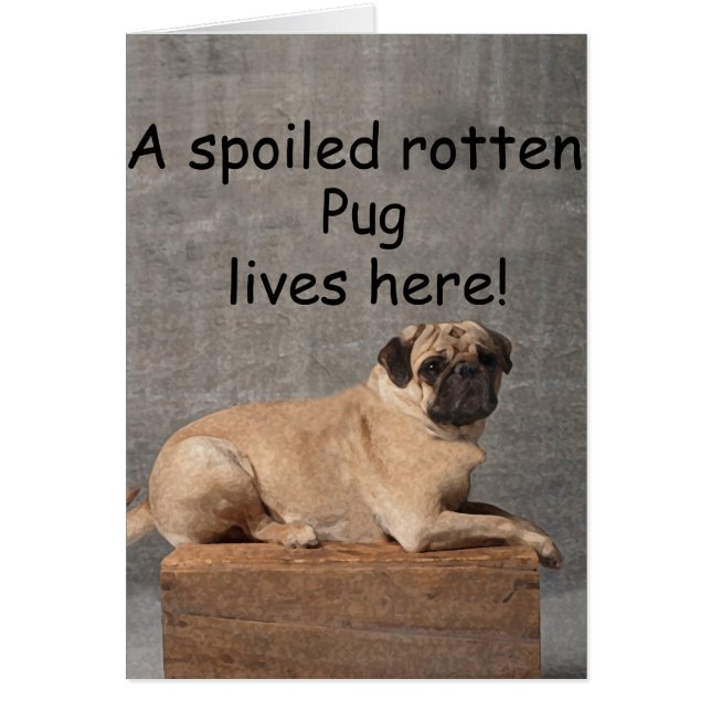 腐った腐った駄駄がここに住む (正面)