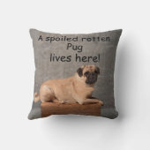 腐った腐った駄駄がここに住む クッション (裏面)