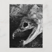 腐った魚の頭骨 ポストカード (正面)