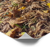 腐敗と生命の並置 ポスター (角)