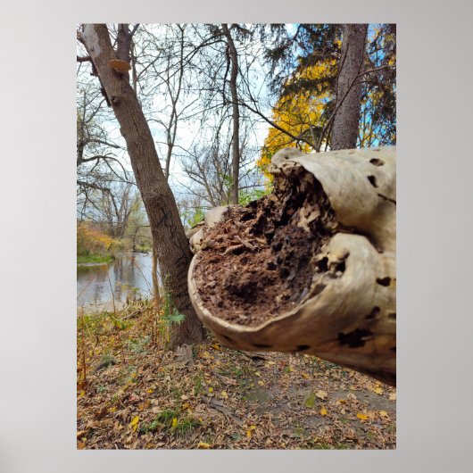 腐敗と生命の並置 ポスター (正面)