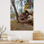 腐敗と生命の並置 ポスター (キッチン)