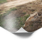 腐植民が治安を営む フォトプリント            (角)