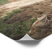 腐植民が治安を営む ポスター (角)