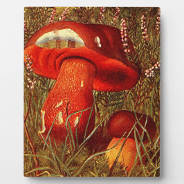 腐植菌の間 – ヴィンテージブレスゥスLuritus フォトプラーク