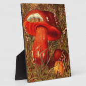 腐植菌の間 – ヴィンテージブレスゥスLuritus フォトプラーク (側面)