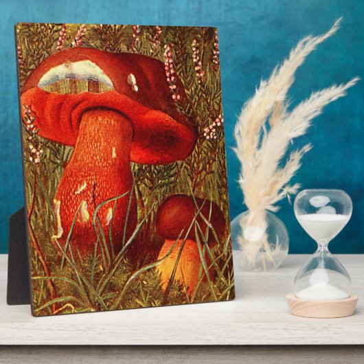 腐植菌の間 – ヴィンテージブレスゥスLuritus フォトプラーク (側面)