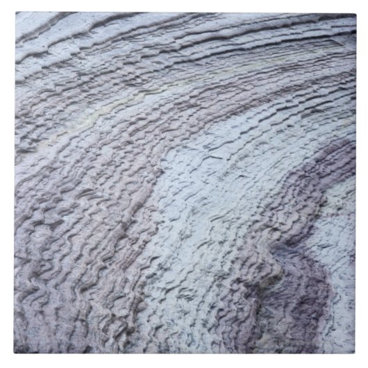 腐食、ザイオン国立公園、ユタ2 タイル (正面)