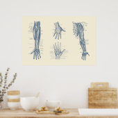 腕と手の図の完成 ポスター (キッチン)