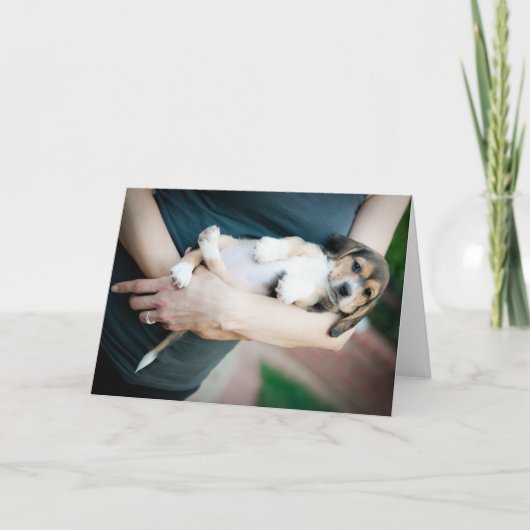 腕に抱かれたビーグル・ベイビー カード (正面)